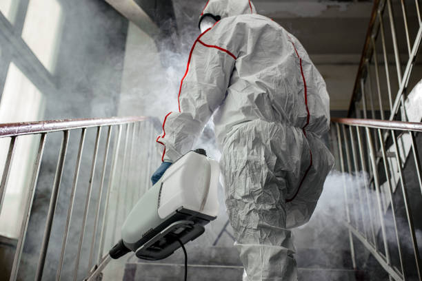 Professional Mold Removal in Benton City, WA